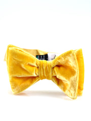 Women's gold bow tie already knotted in silk and viscose velvet CONRAD